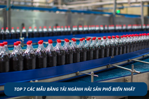 CÁC MẪU BĂNG TẢI NGÀNH HẢI SẢN PHỔ BIẾN GIÚP TỐI ƯU SẢN XUẤT