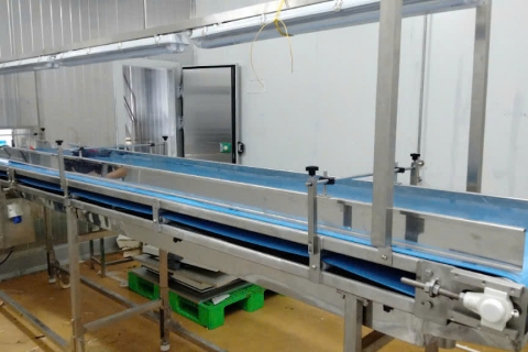 TĂNG NĂNG SUẤT VỚI BĂNG TẢI NGÀNH RAU CỦ QUẢ ĐÔNG LẠNH